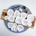 14 white water-soluble insect embroidery patterns on a wooden board with thread and scissors.