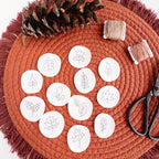 12 mini autumn botanical stick and stitch embroidery patterns on a rust-colored mat with a pinecone, thread, and scissors.