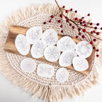 Winter Berry Stick and Stitch Patterns